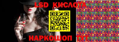 СК Волгодонск