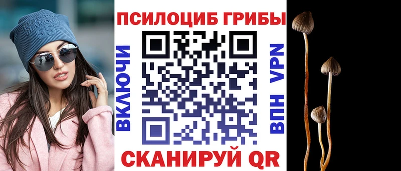 купить наркотик  Нефтекамск  Псилоцибиновые грибы Psilocybine cubensis 