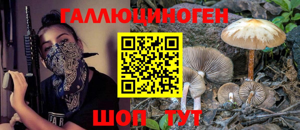 Нефтекамск  купить наркоту  Вход с VPN  Псилоцибиновые грибы прущие грибы 