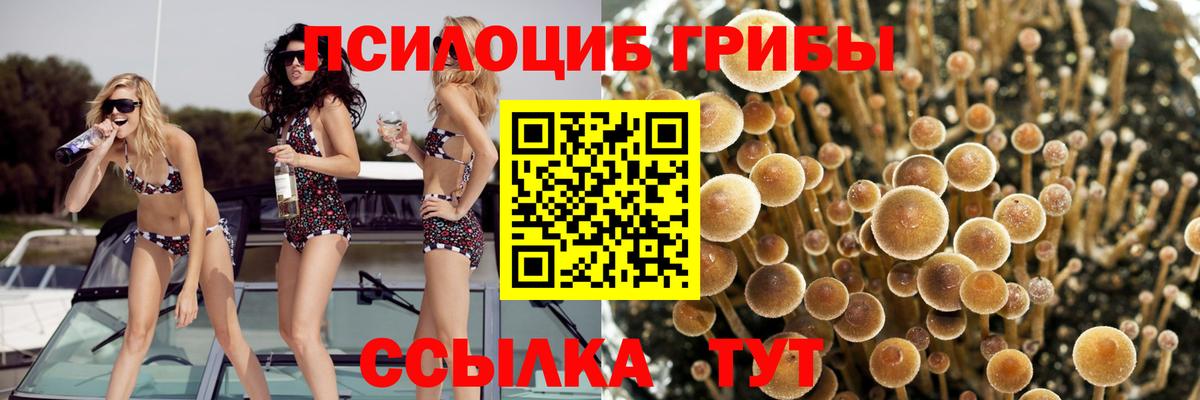 Галлюциногенные грибы MAGIC MUSHROOMS  Нефтекамск 